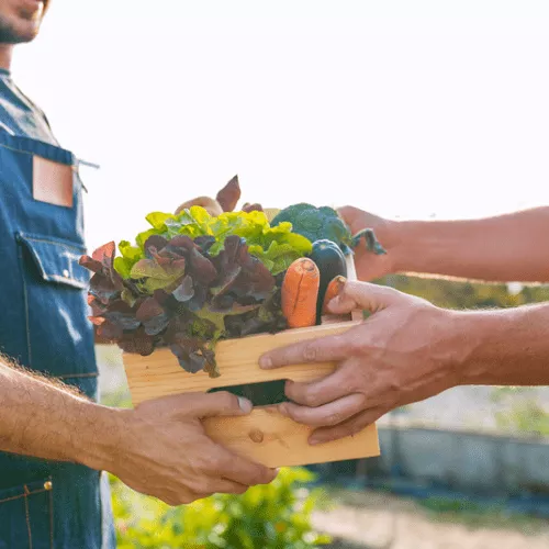 Développement économique et local
