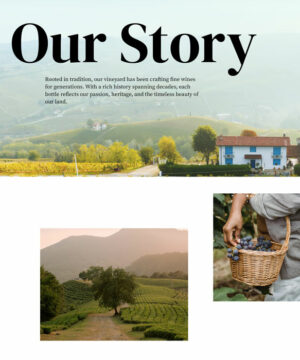 wine-about