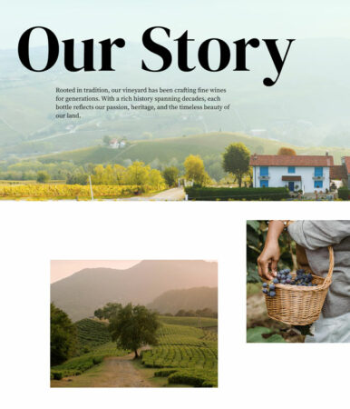 wine-about